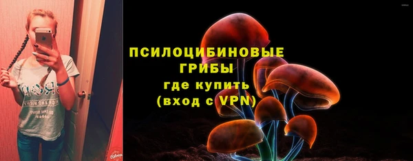 наркотики Белокуриха