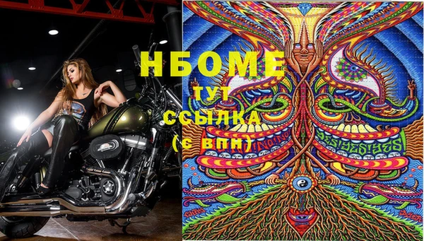 бошки Беломорск