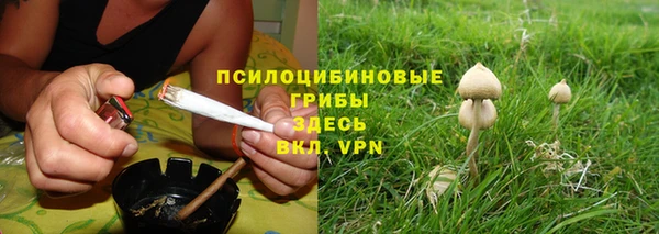 хмурый Белоозёрский