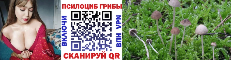 Галлюциногенные грибы MAGIC MUSHROOMS  Полесск 